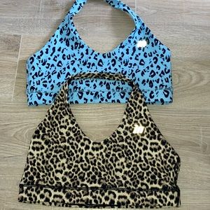 Muscle Nation Sports Bra